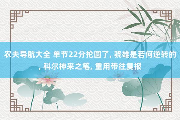 农夫导航大全 单节22分抡圆了， 骁雄是若何逆转的， 科尔神来之笔， 重用带往复报