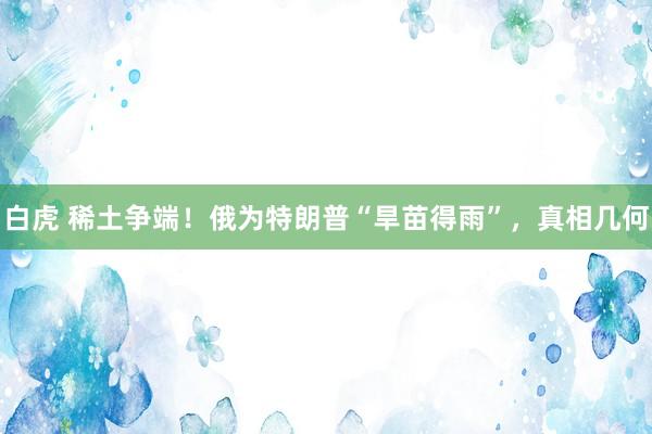 白虎 稀土争端！俄为特朗普“旱苗得雨”，真相几何