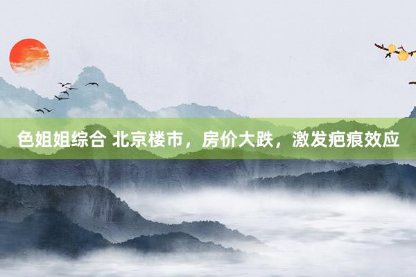 色姐姐综合 北京楼市,房价大跌,激发疤痕效应