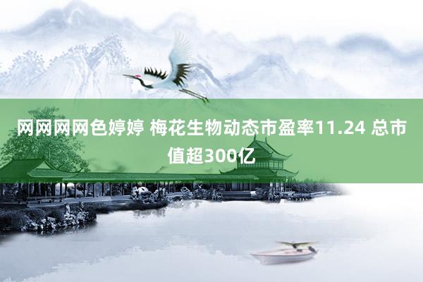 网网网网色婷婷 梅花生物动态市盈率11.24 总市值超300亿