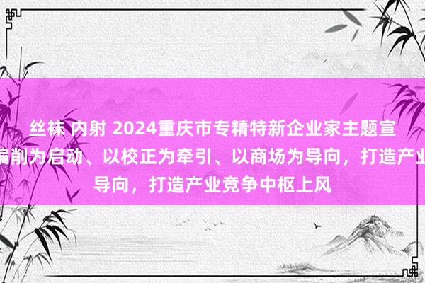 丝袜 内射 2024重庆市专精特新企业家主题宣传｜孙刚：以编削为启动、以校正为牵引、以商场为导向，打造产业竞争中枢上风