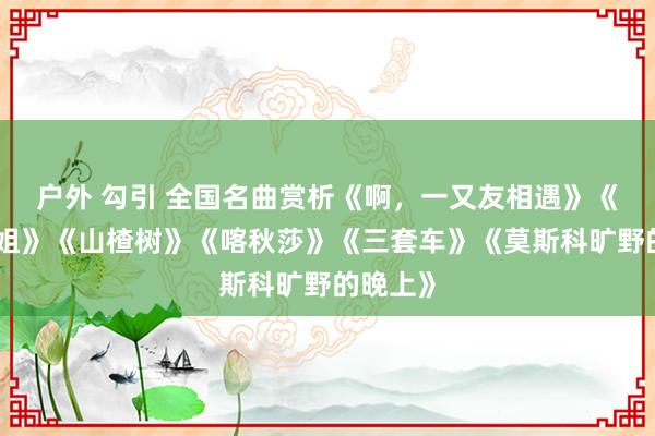 户外 勾引 全国名曲赏析《啊，一又友相遇》《卖花小姐》《山楂树》《喀秋莎》《三套车》《莫斯科旷野的晚上》