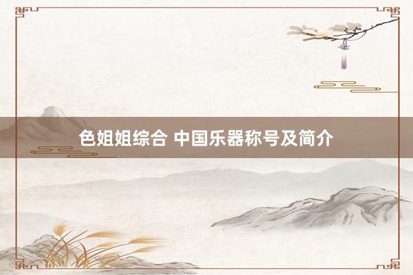 色姐姐综合 中国乐器称号及简介