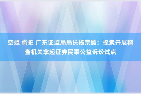 空姐 偷拍 广东证监局局长杨宗儒：探索开展稽查机关拿起证券民事公益诉讼试点